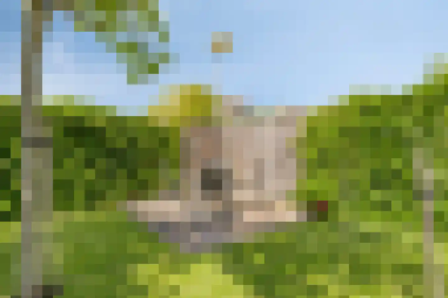 Delmer 18 Vledder thumbnail 40