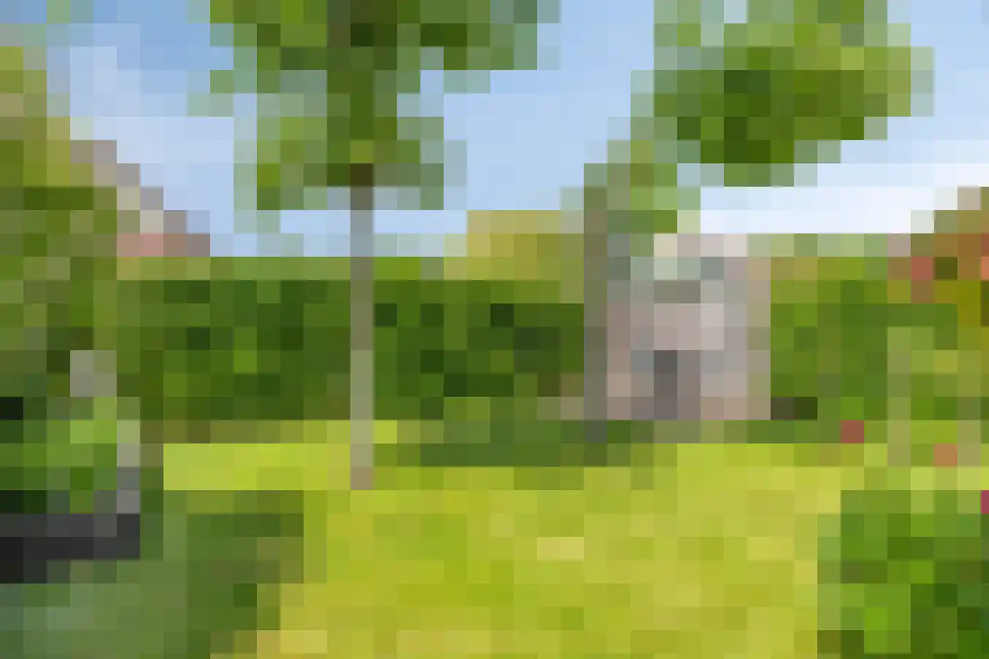 Delmer 18 Vledder thumbnail 41
