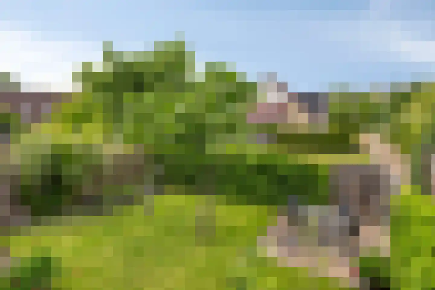 Delmer 18 Vledder thumbnail 42