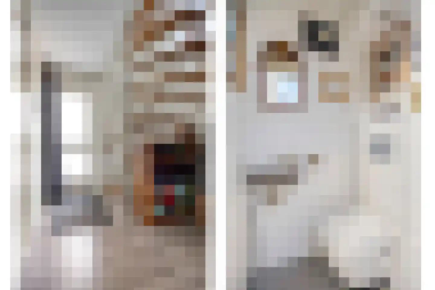Delmer 18 Vledder thumbnail 6