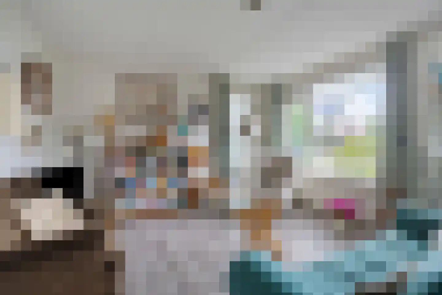 Delmer 18 Vledder thumbnail 8