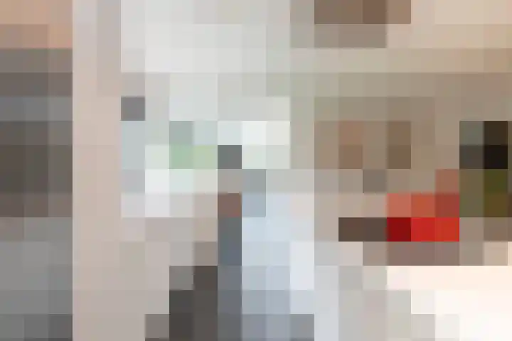 Delmerweg 12 Tilburg thumbnail 27