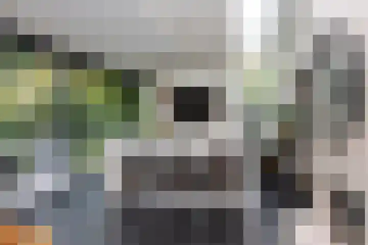 Delmerweg 12 Tilburg thumbnail 32