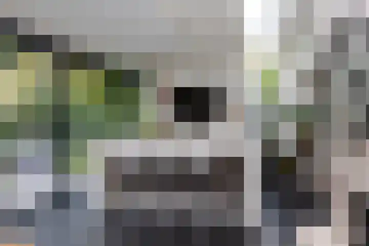 Delmerweg 12 Tilburg thumbnail 33
