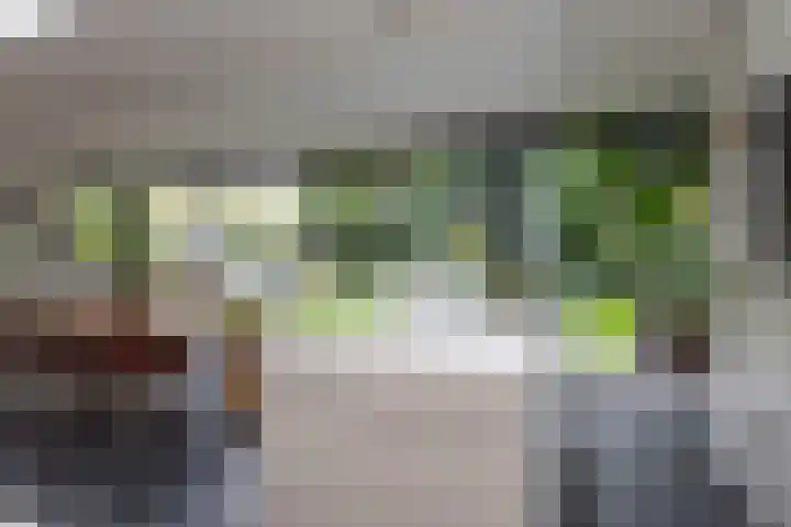 Delmerweg 12 Tilburg thumbnail 36