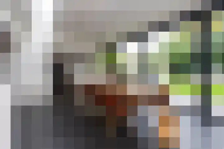 Delmerweg 12 Tilburg thumbnail 38