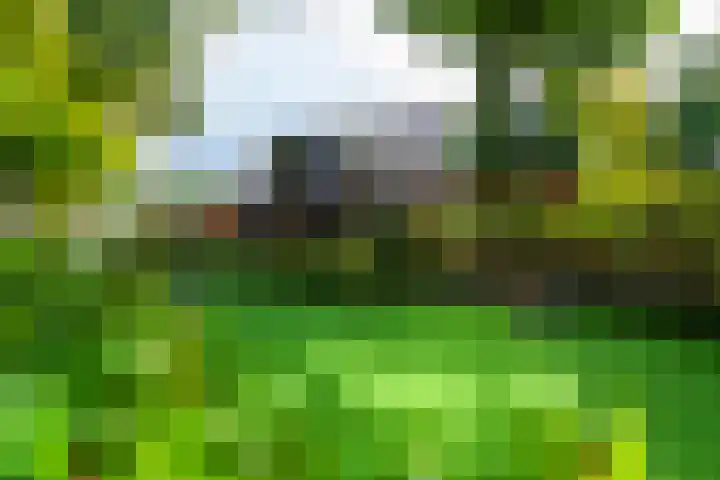 Delmerweg 12 Tilburg thumbnail 4