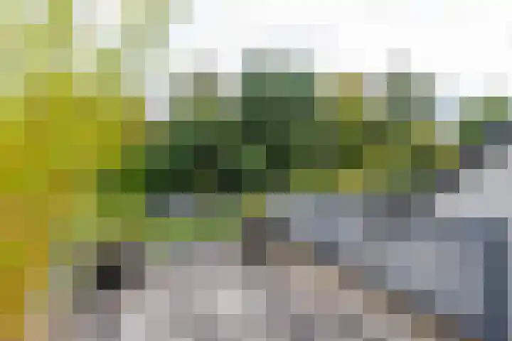 Delmerweg 12 Tilburg thumbnail 51