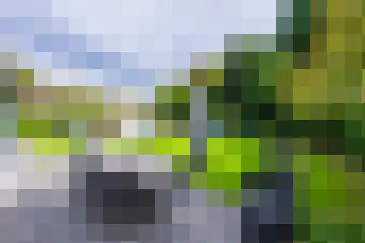 Delmerweg 12 Tilburg thumbnail 66