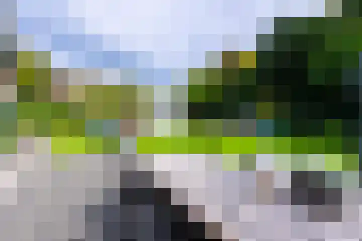 Delmerweg 12 Tilburg thumbnail 67