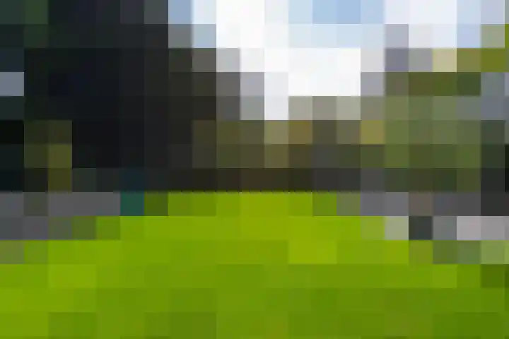 Delmerweg 12 Tilburg thumbnail 70
