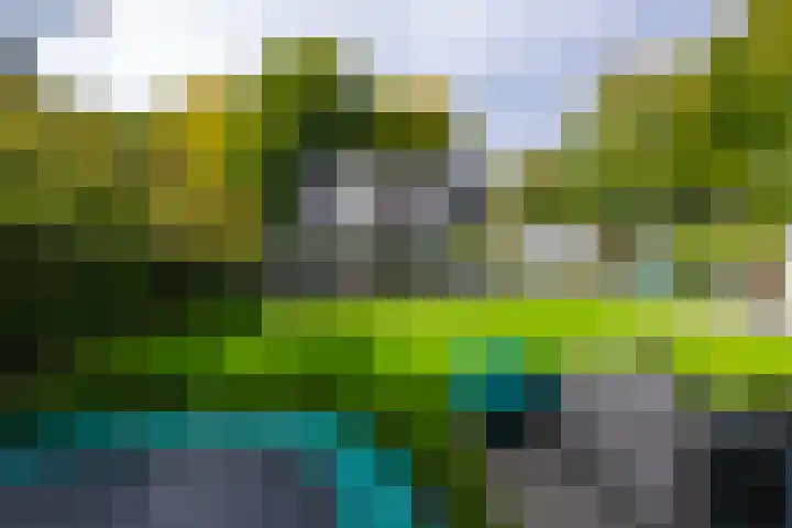 Delmerweg 12 Tilburg thumbnail 72