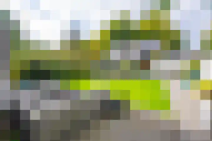 Delmerweg 12 Tilburg thumbnail 75