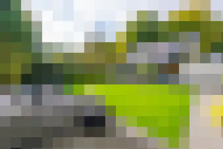 Delmerweg 12 Tilburg thumbnail 76