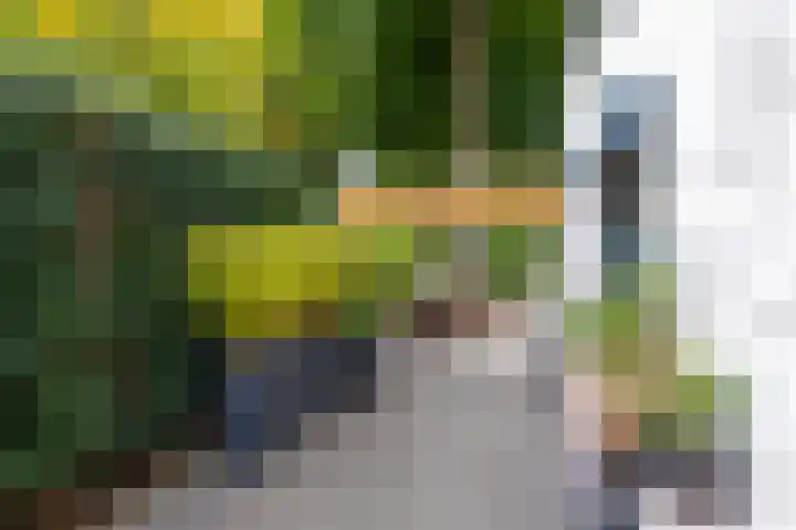Delmerweg 12 Tilburg thumbnail 79