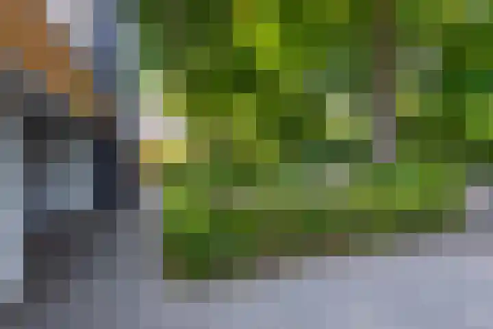 Delmerweg 12 Tilburg thumbnail 84