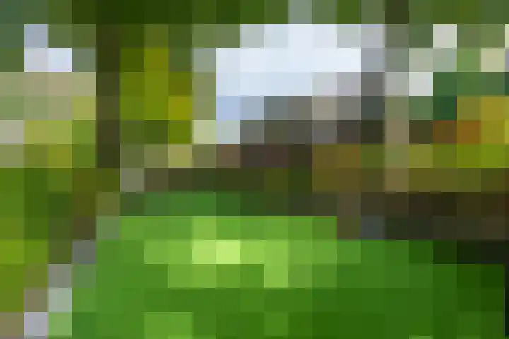 Delmerweg 12 Tilburg thumbnail 86
