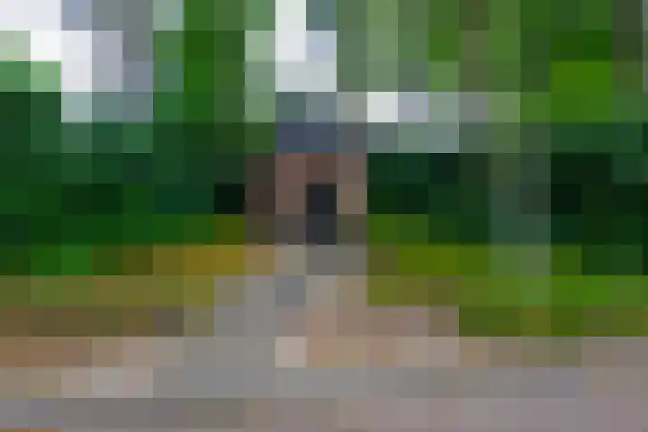 Delmerweg 12 Tilburg thumbnail 90
