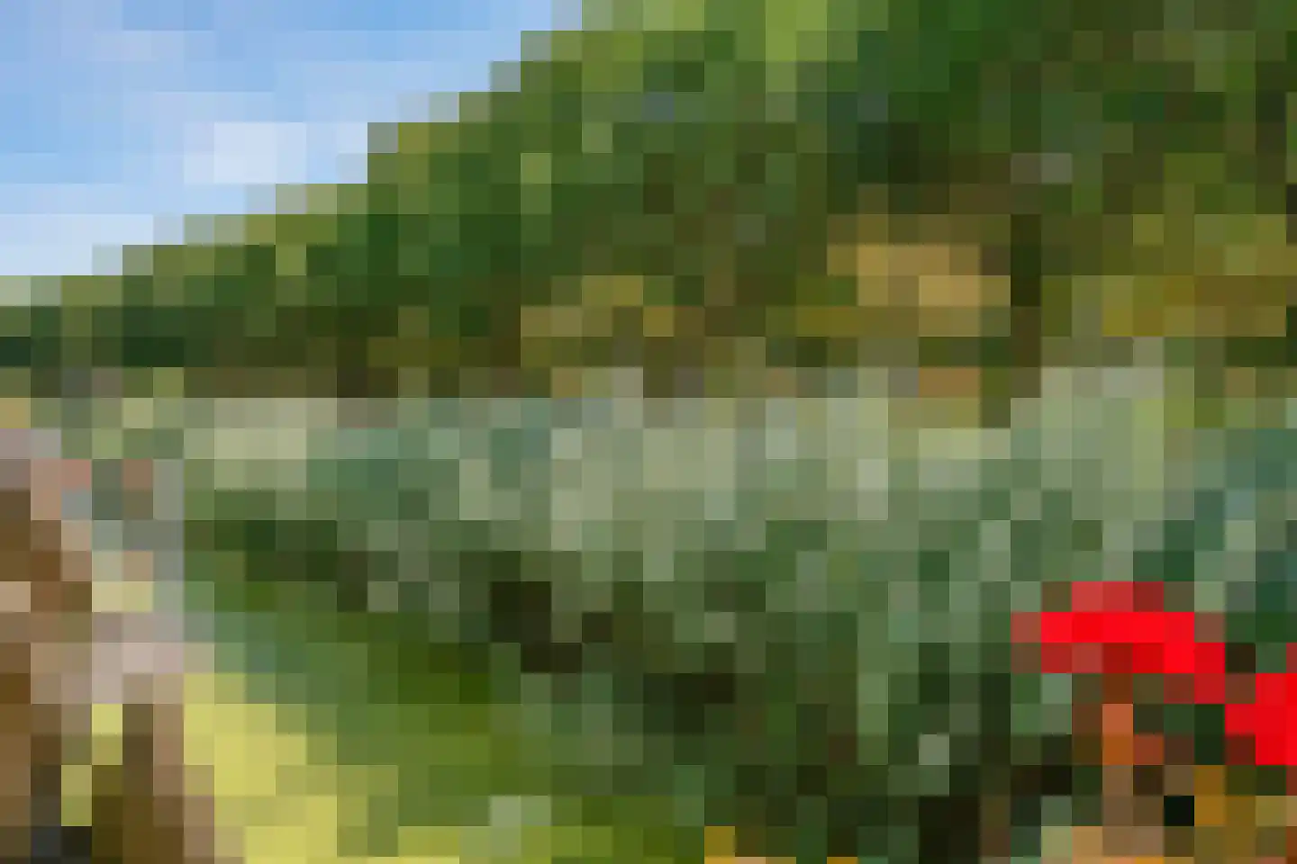 Delphine 6 Abcoude thumbnail 27