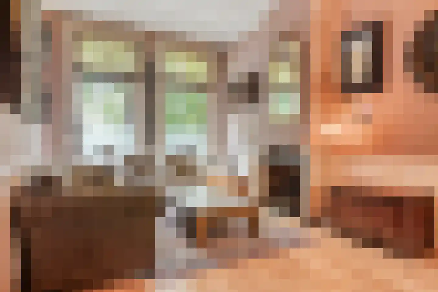 Delpratsingel 10 Breda thumbnail 11