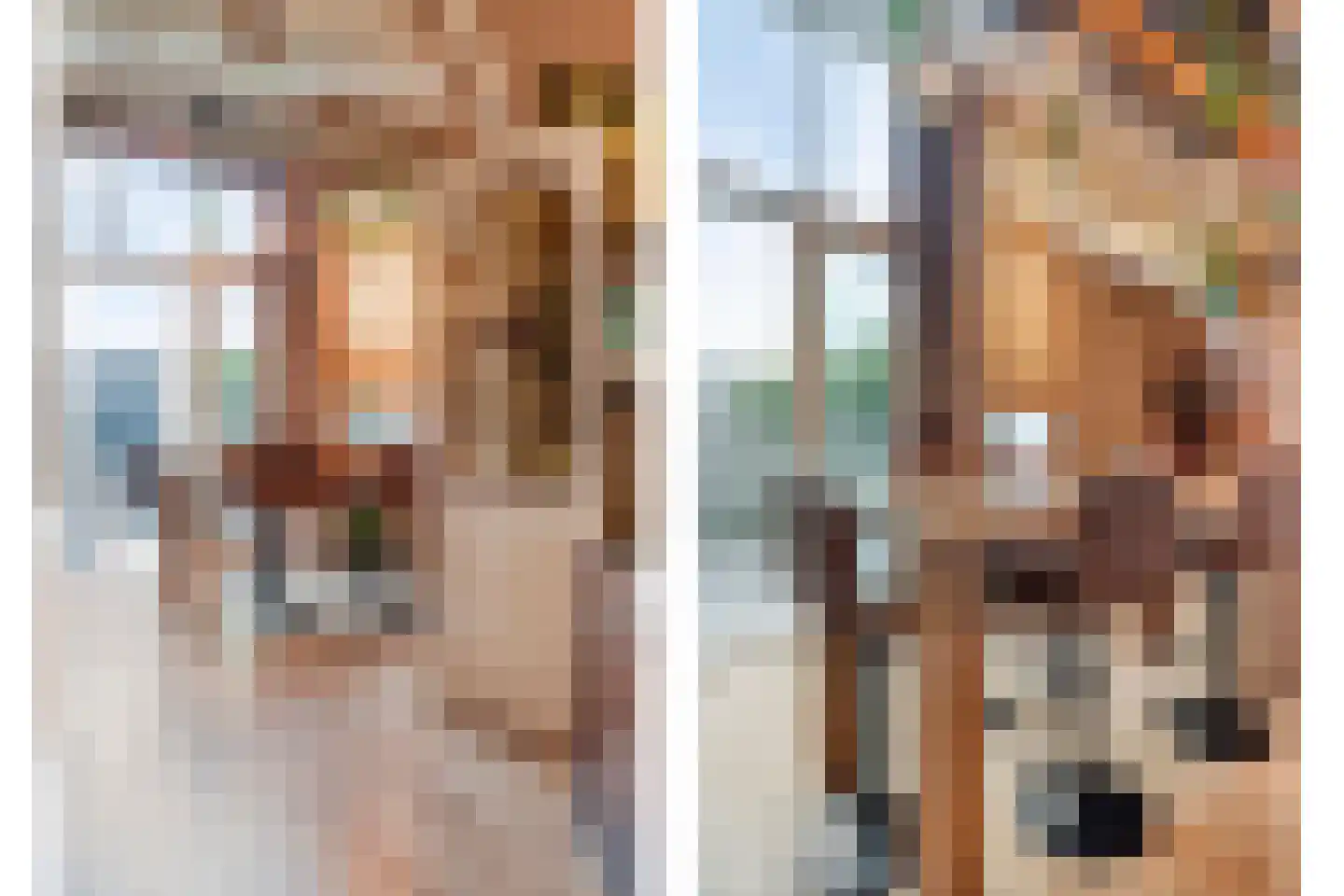 Delpratsingel 10 Breda thumbnail 15