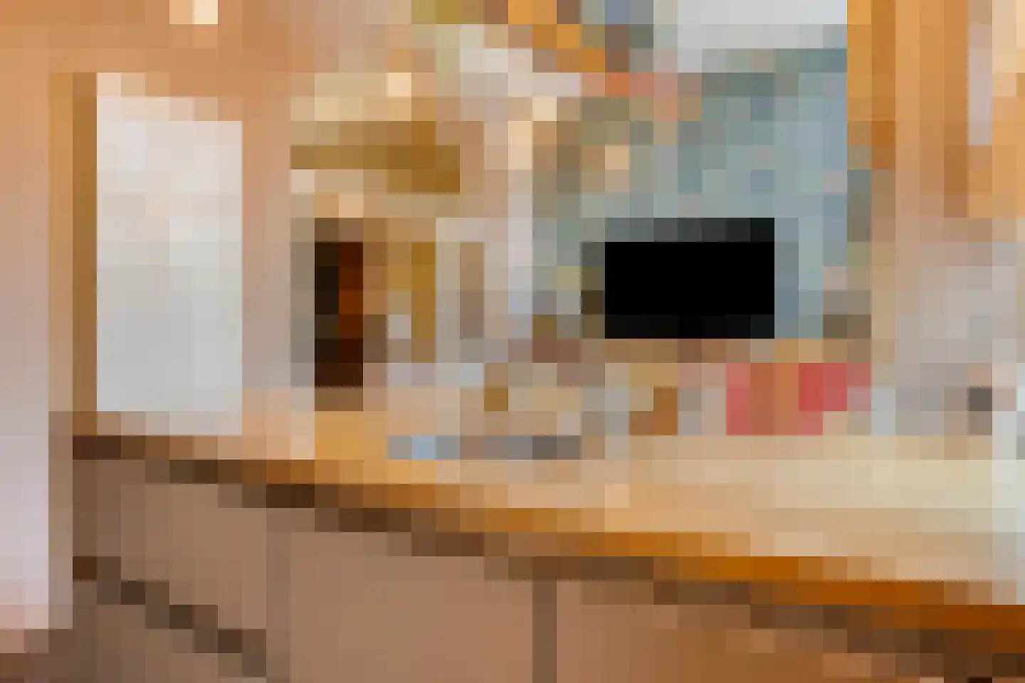Delpratsingel 10 Breda thumbnail 17