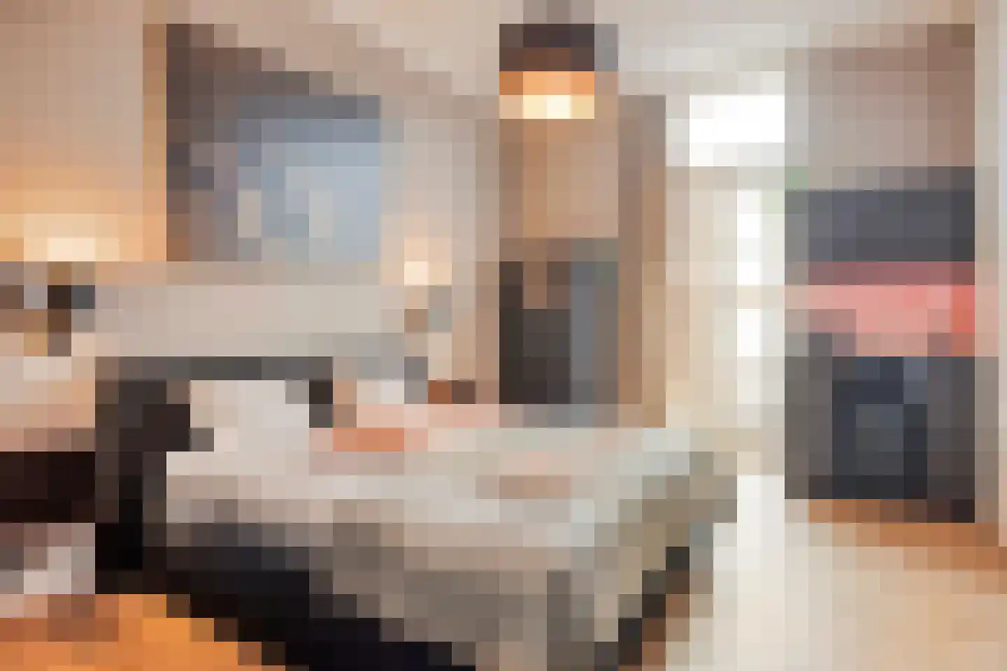 Delpratsingel 10 Breda thumbnail 21