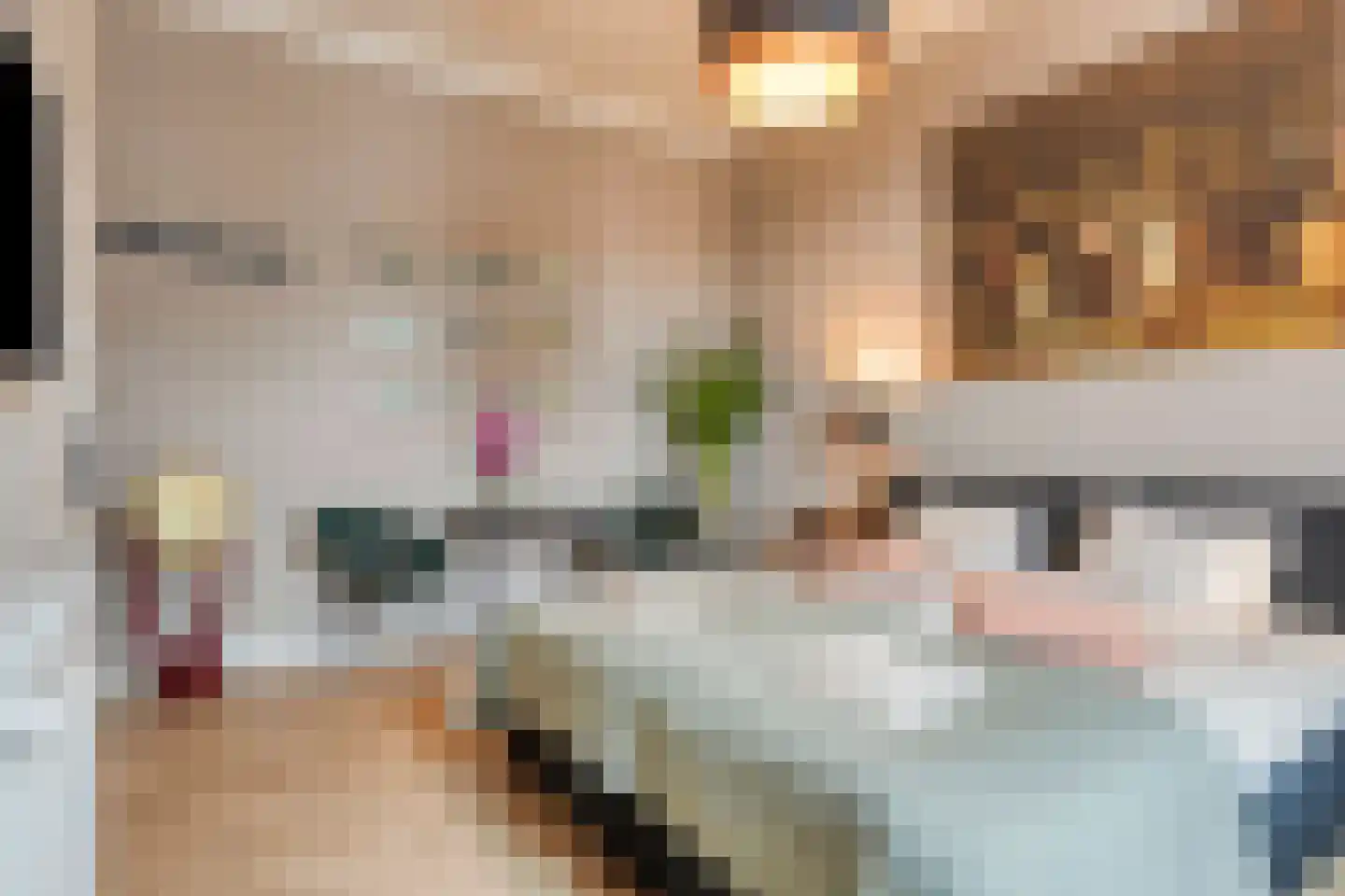 Delpratsingel 10 Breda thumbnail 22