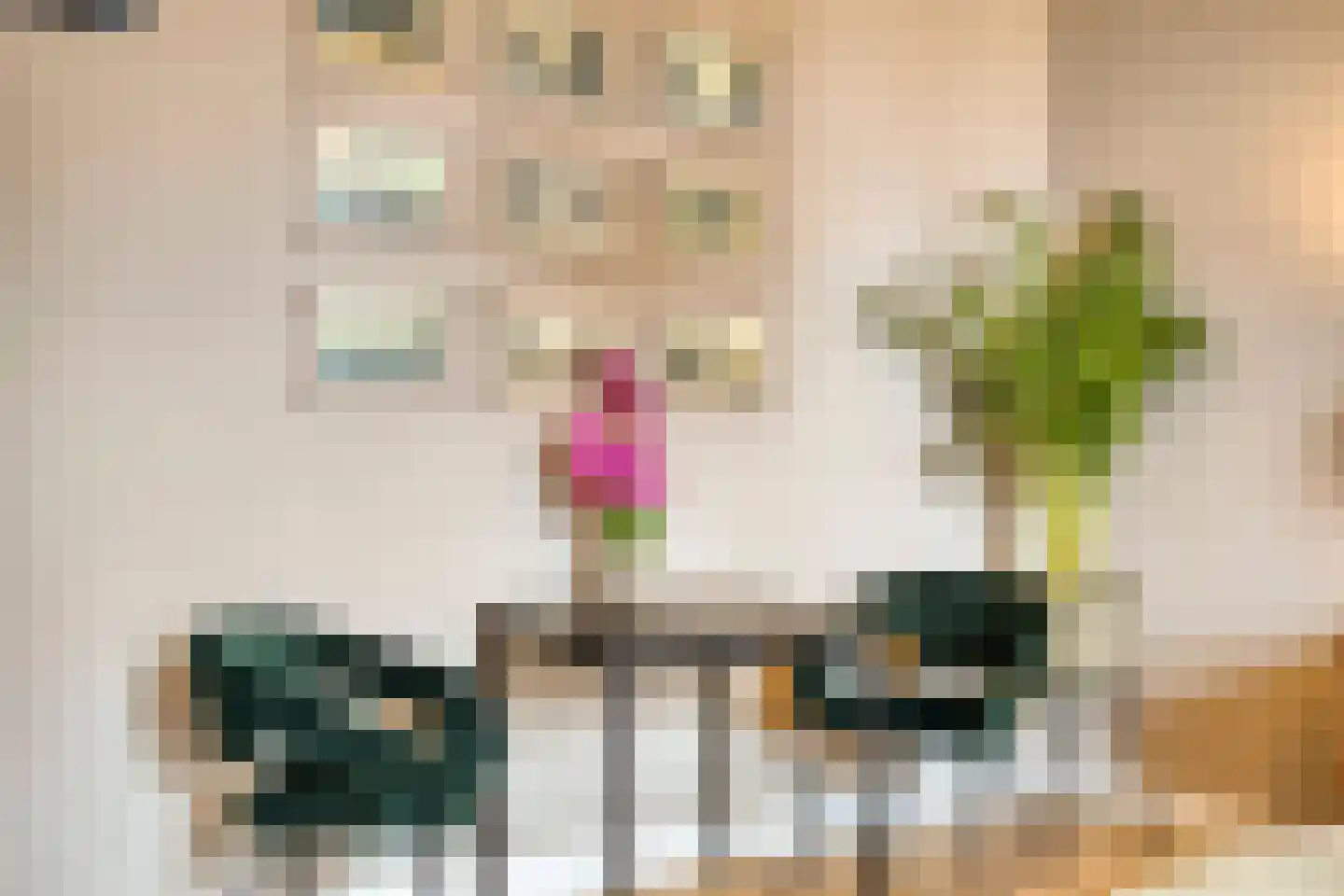 Delpratsingel 10 Breda thumbnail 23