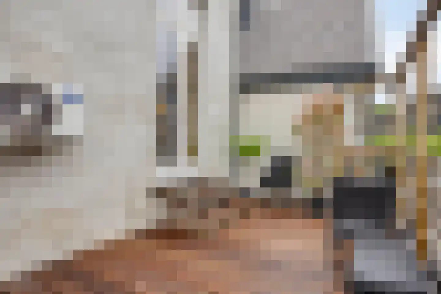 Delpratsingel 10 Breda thumbnail 28