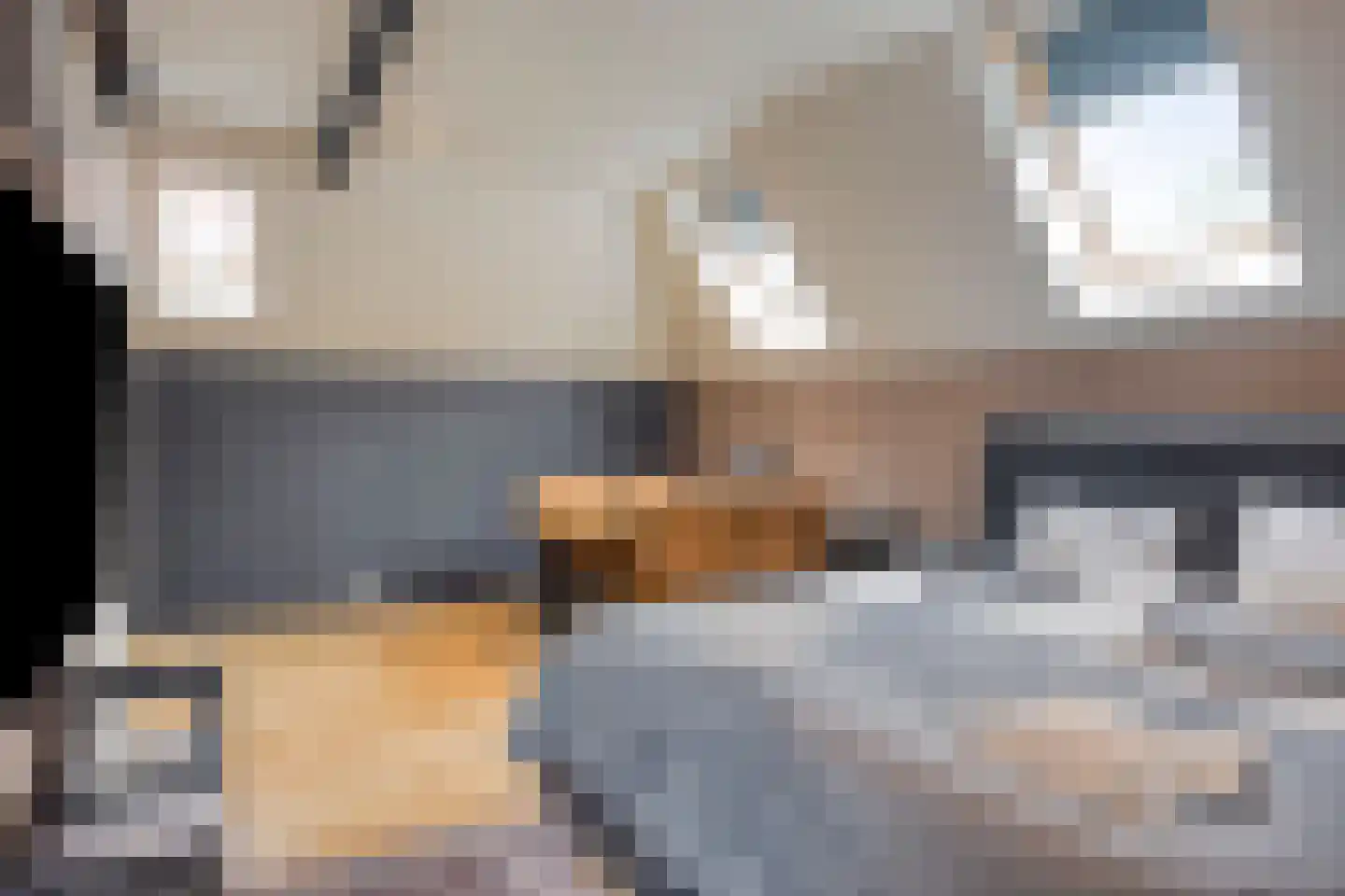 Delpratsingel 10 Breda thumbnail 36