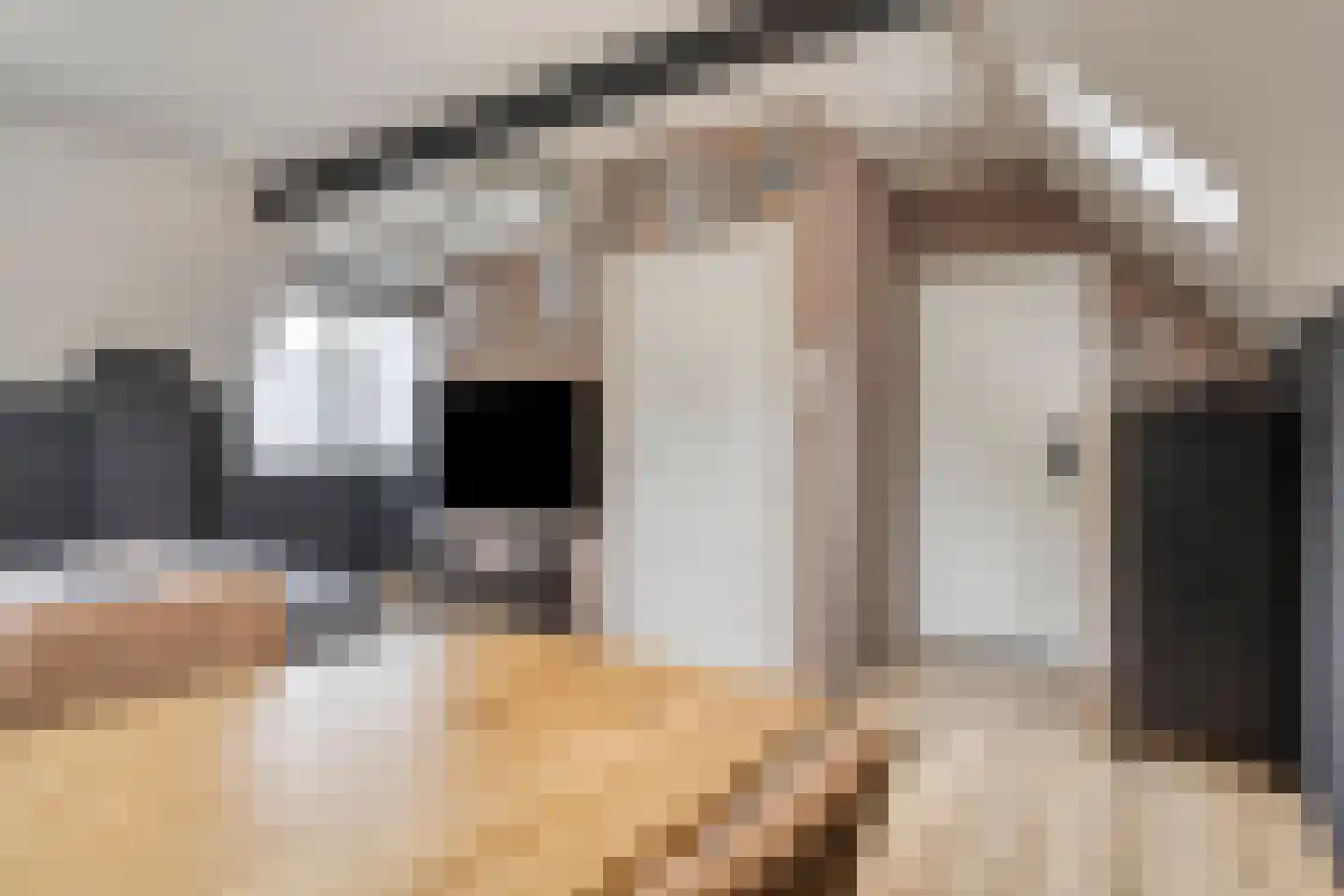 Delpratsingel 10 Breda thumbnail 38