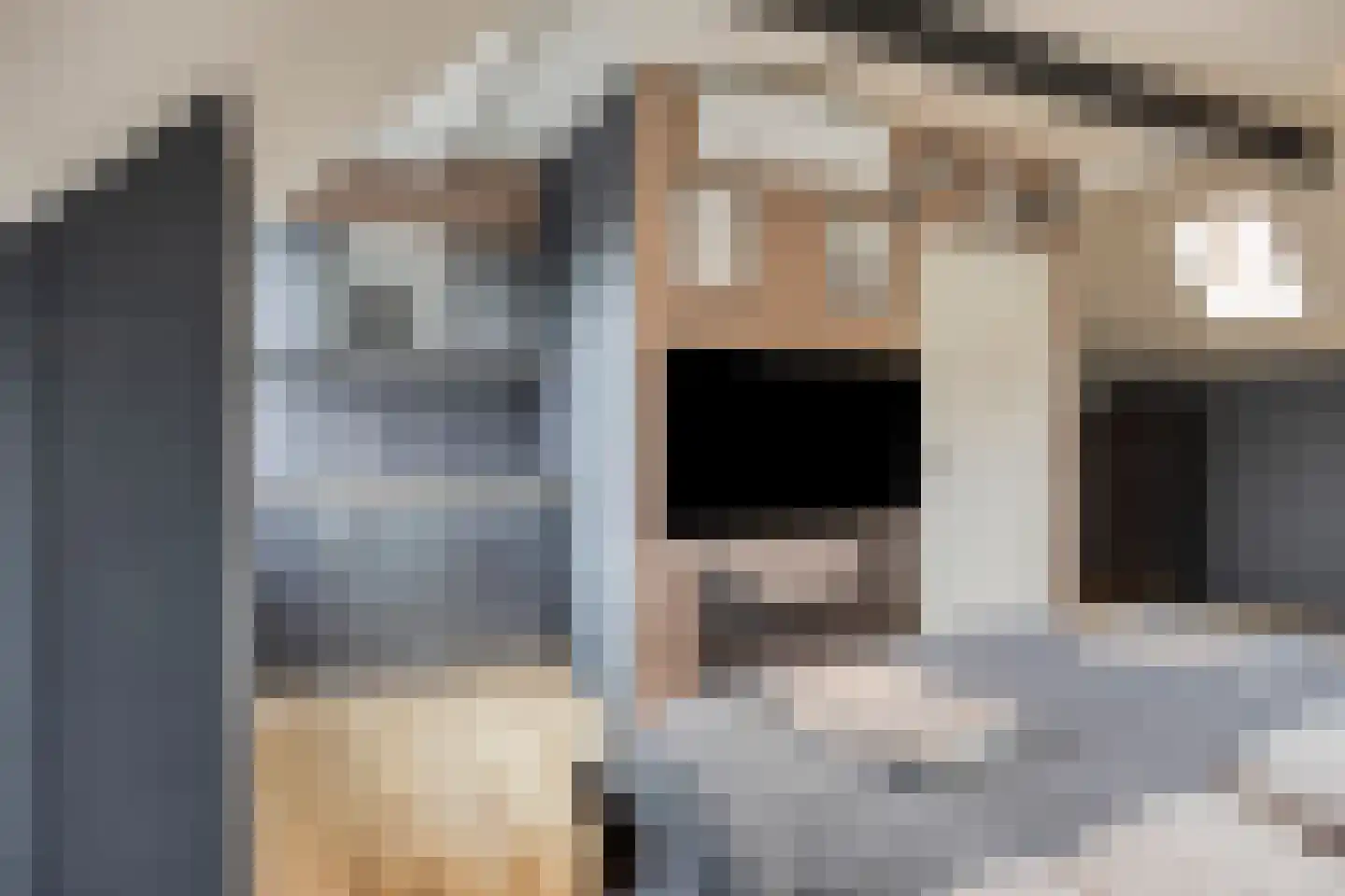 Delpratsingel 10 Breda thumbnail 39