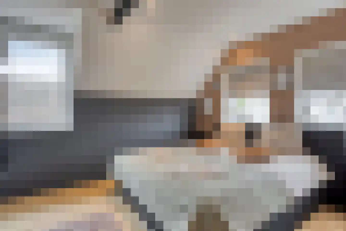 Delpratsingel 10 Breda thumbnail 42