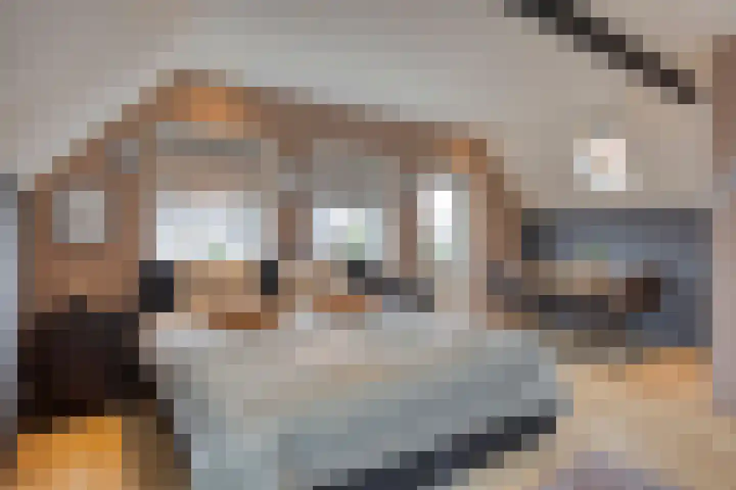 Delpratsingel 10 Breda thumbnail 43