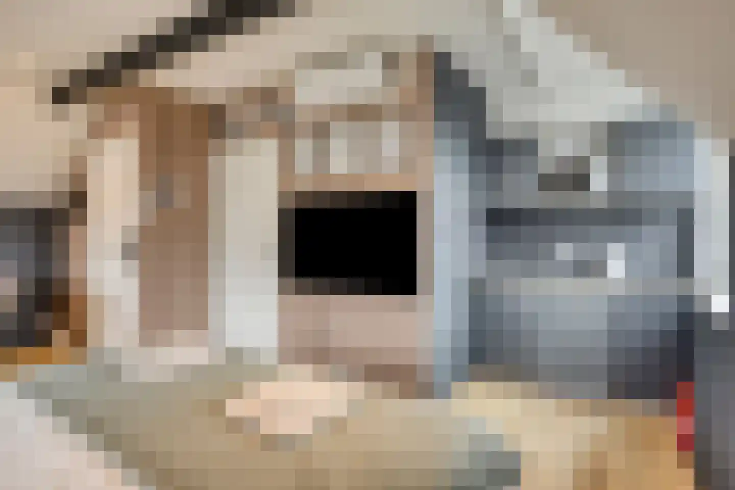 Delpratsingel 10 Breda thumbnail 46