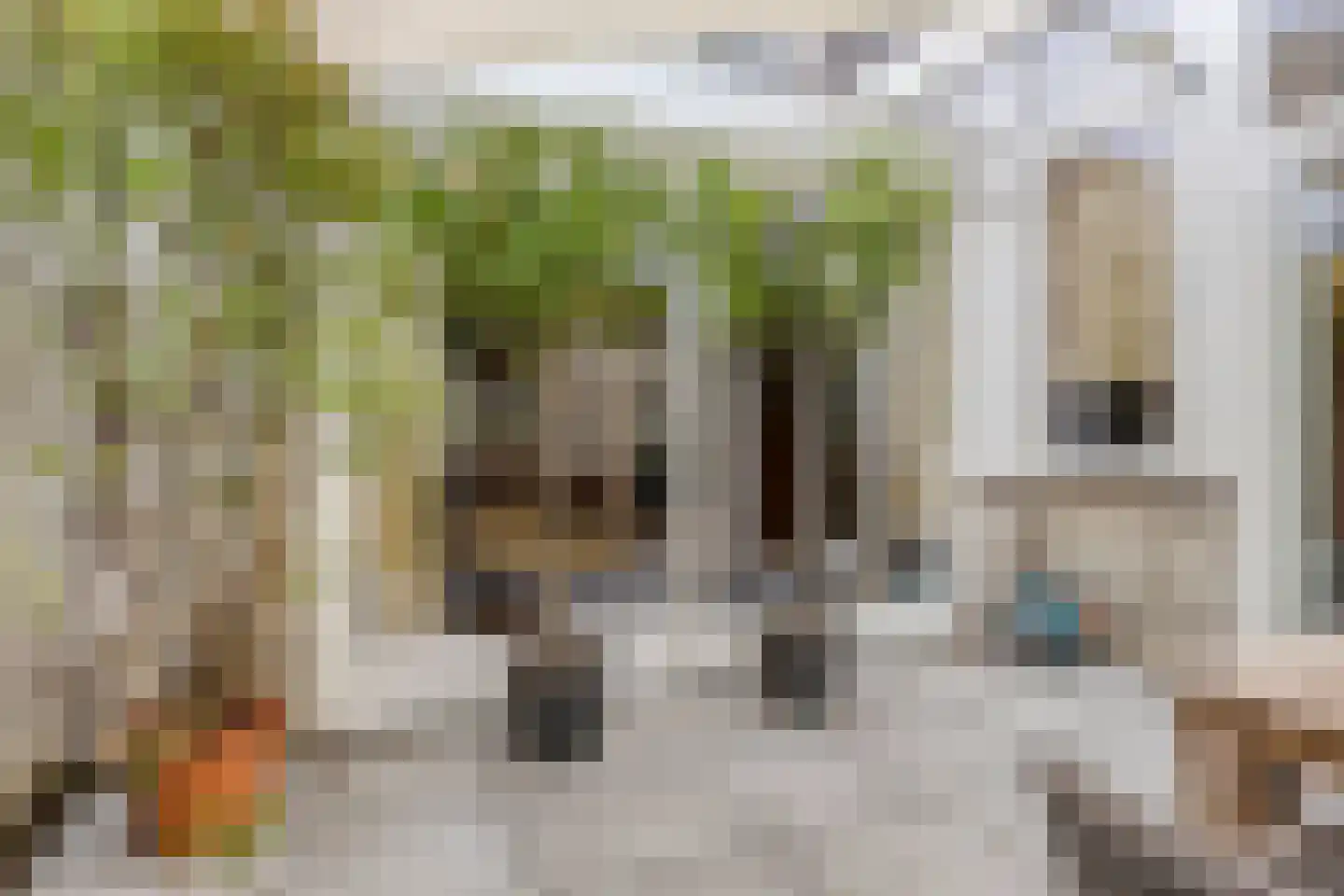Delpratsingel 10 Breda thumbnail 50