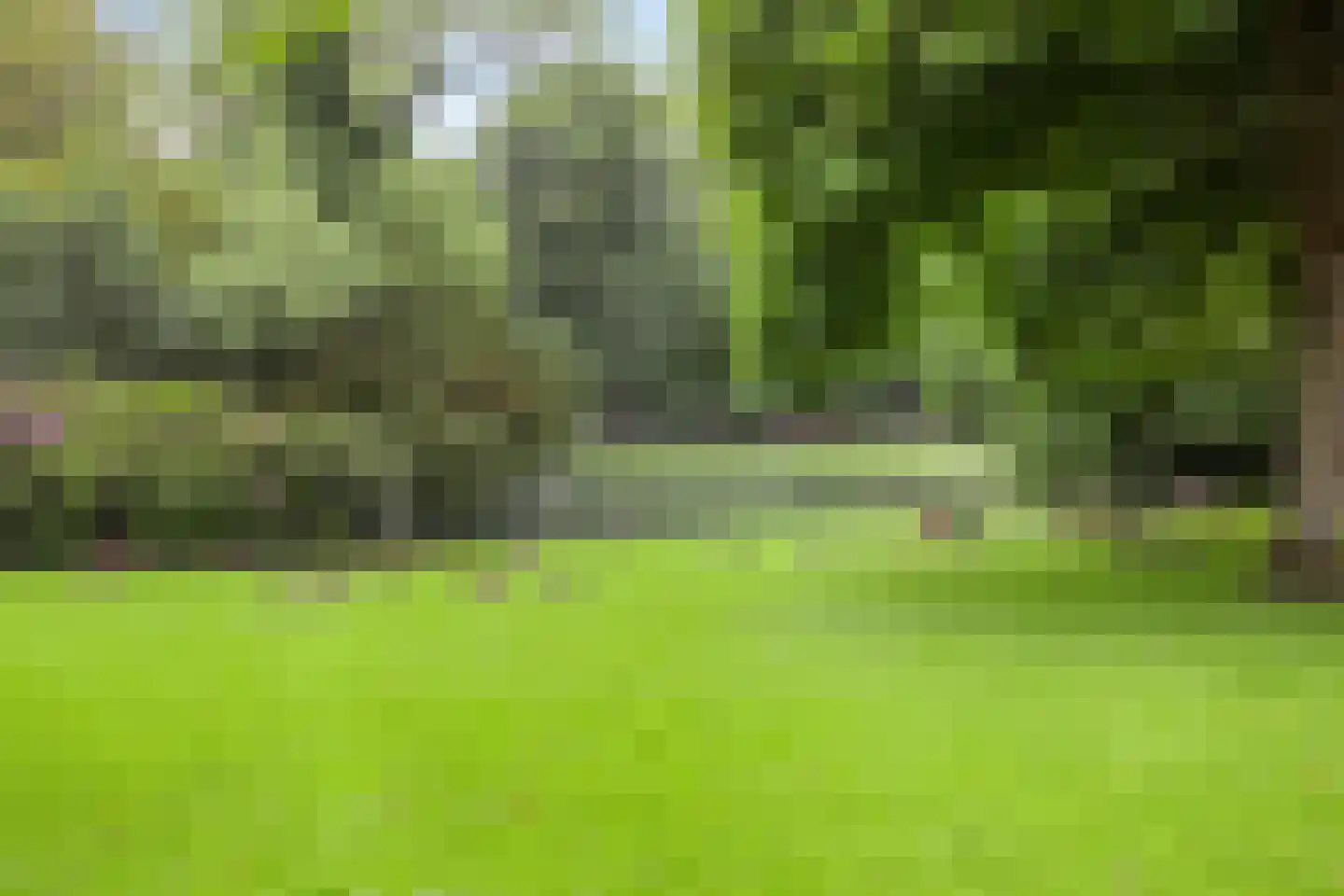 Delpratsingel 10 Breda thumbnail 55