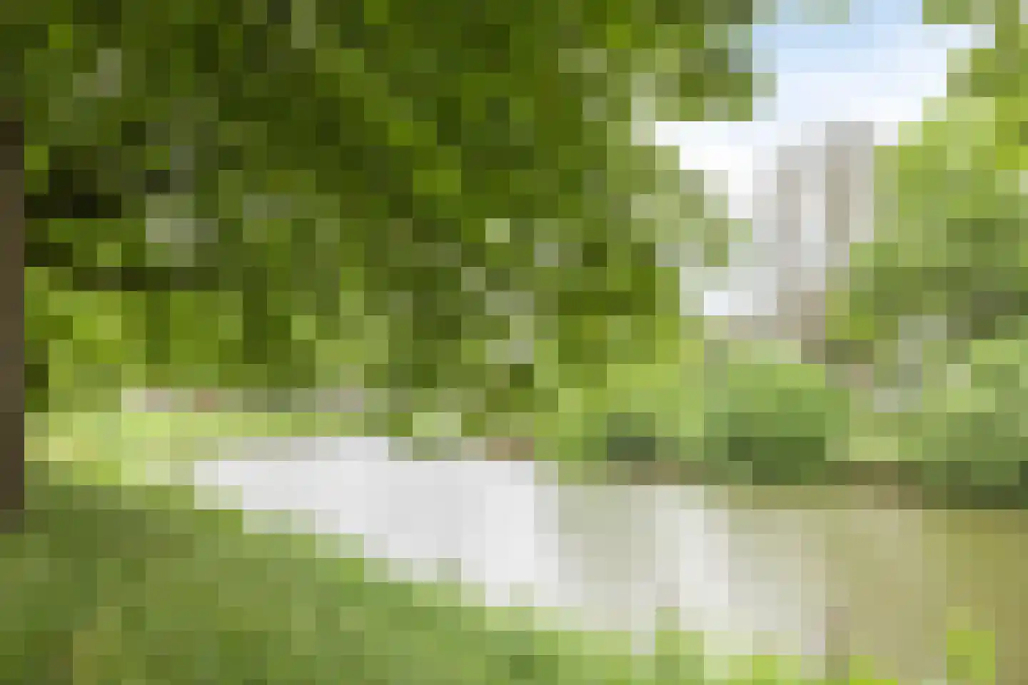 Delpratsingel 10 Breda thumbnail 6