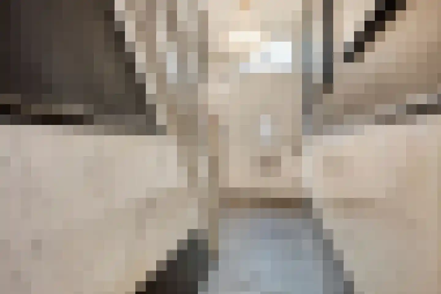 Delpratsingel 10 Breda thumbnail 9