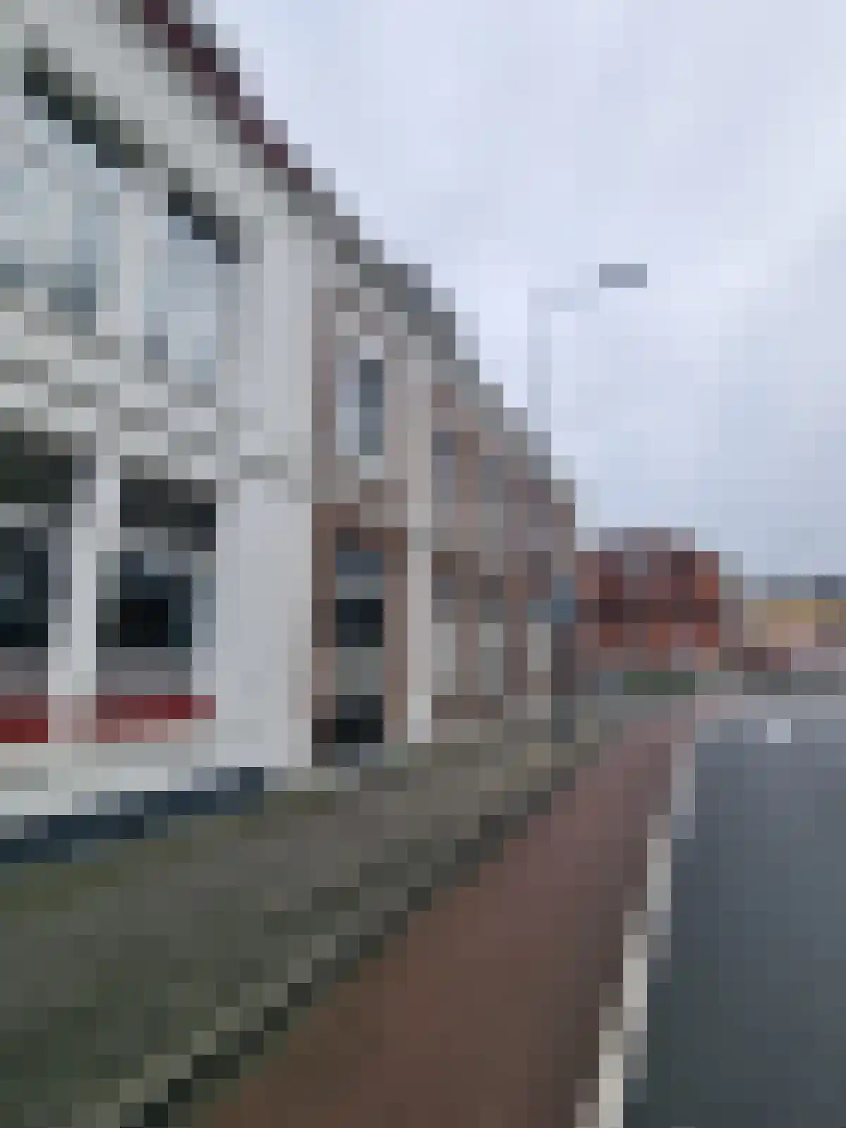 Delpratsingel in Breda