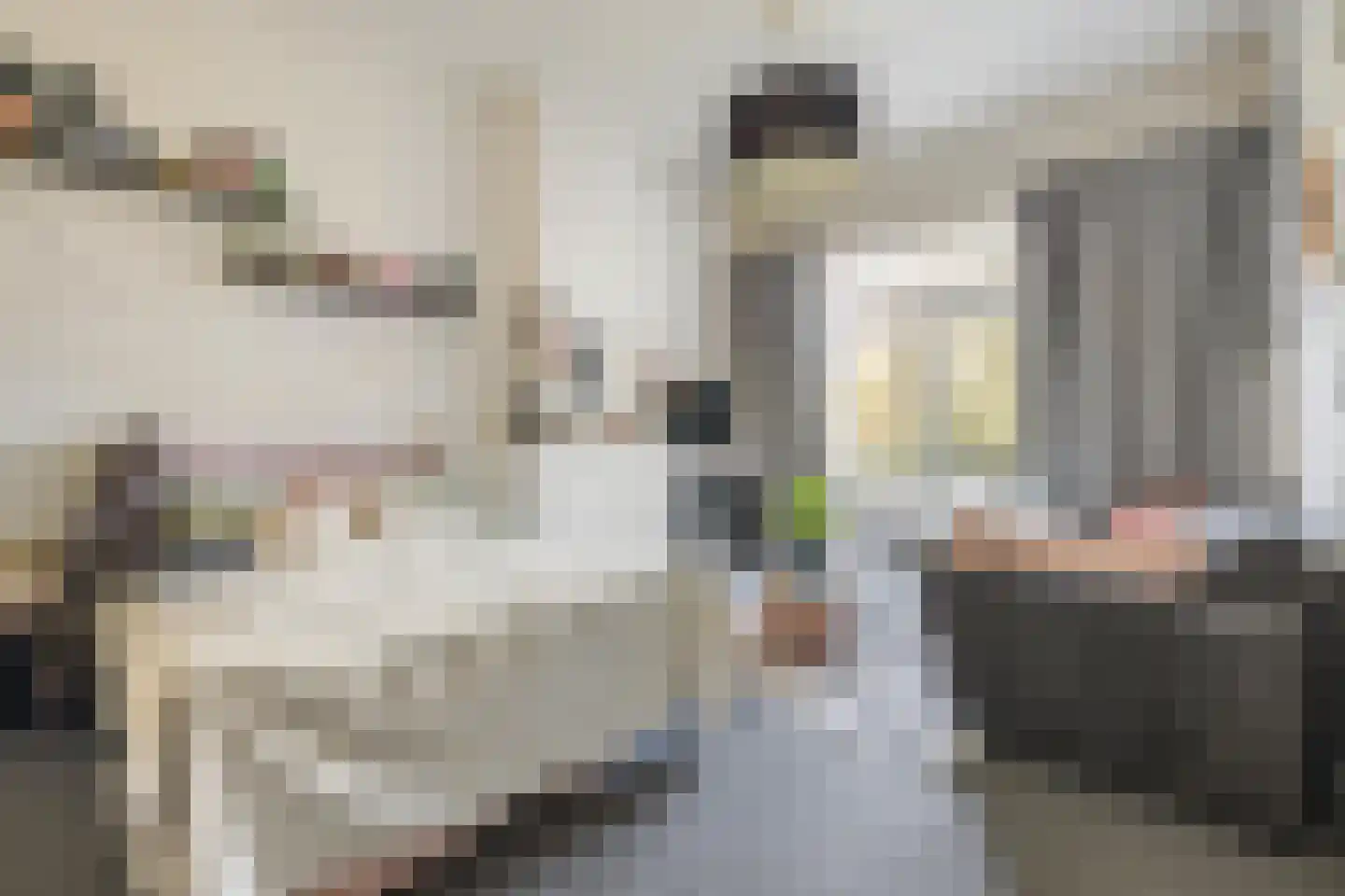 Delpratsingel 5 Breda thumbnail 29