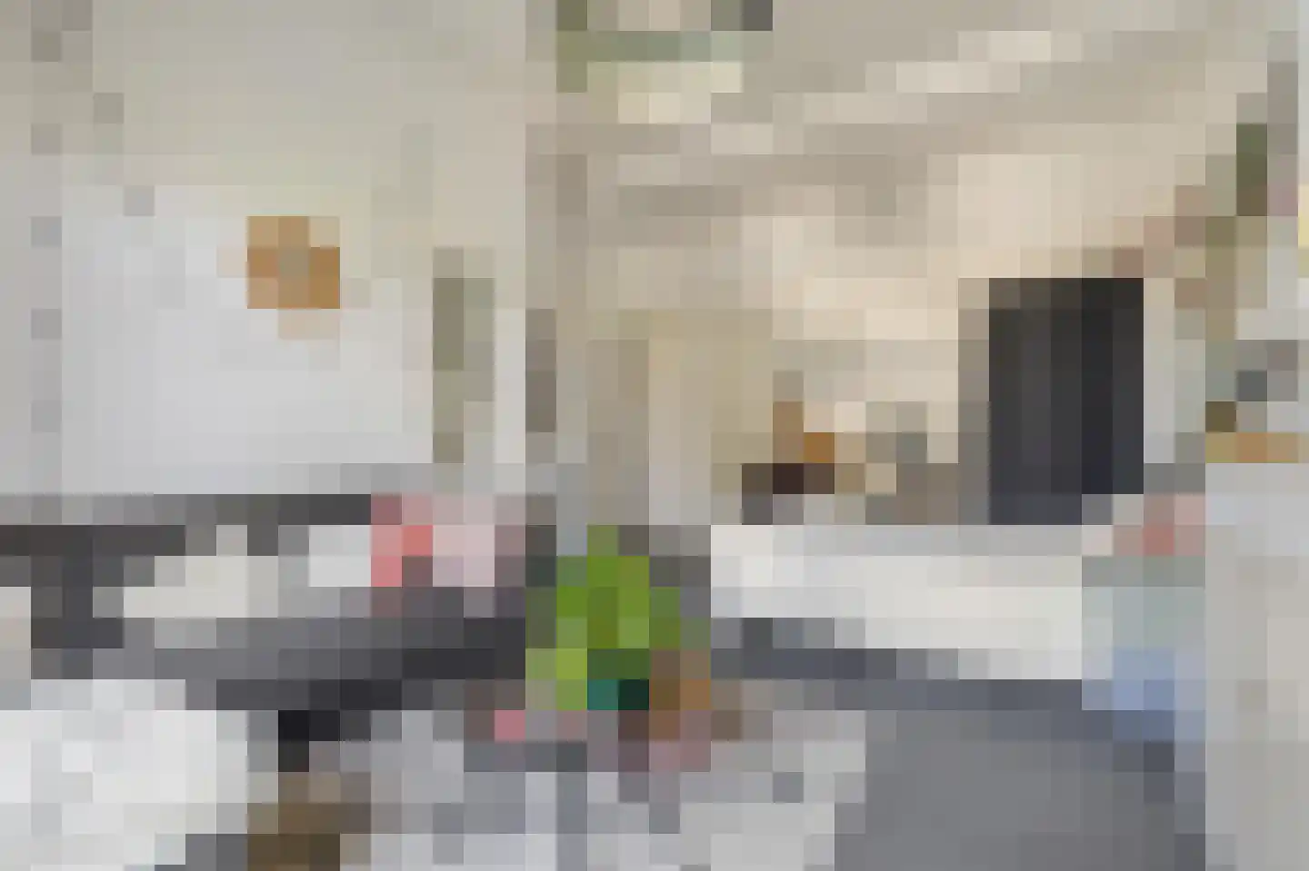Delpratsingel 5 Breda thumbnail 30
