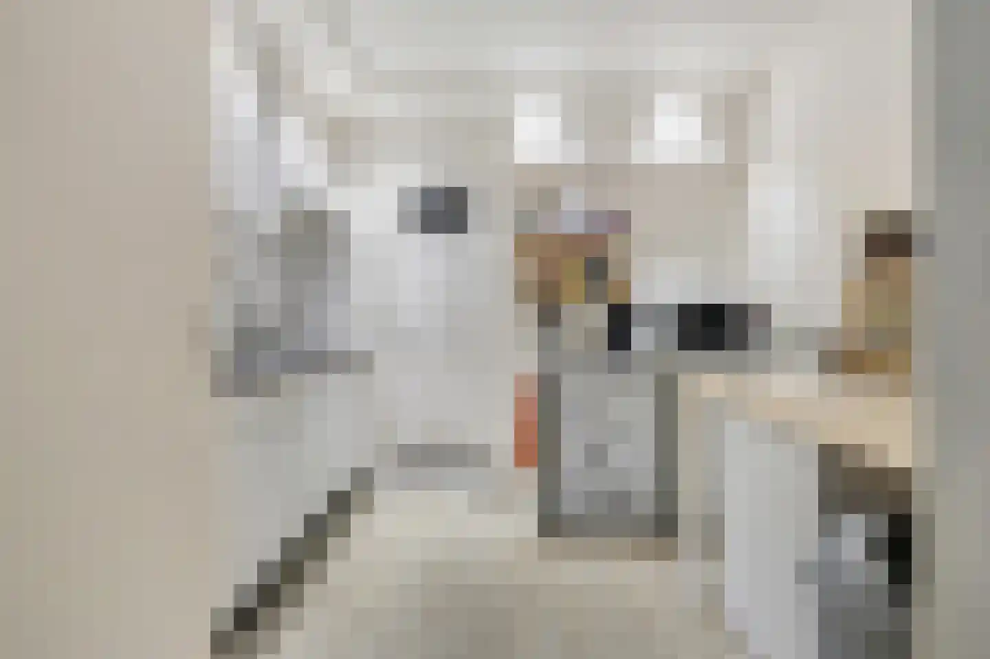 Delpratsingel 5 Breda thumbnail 32