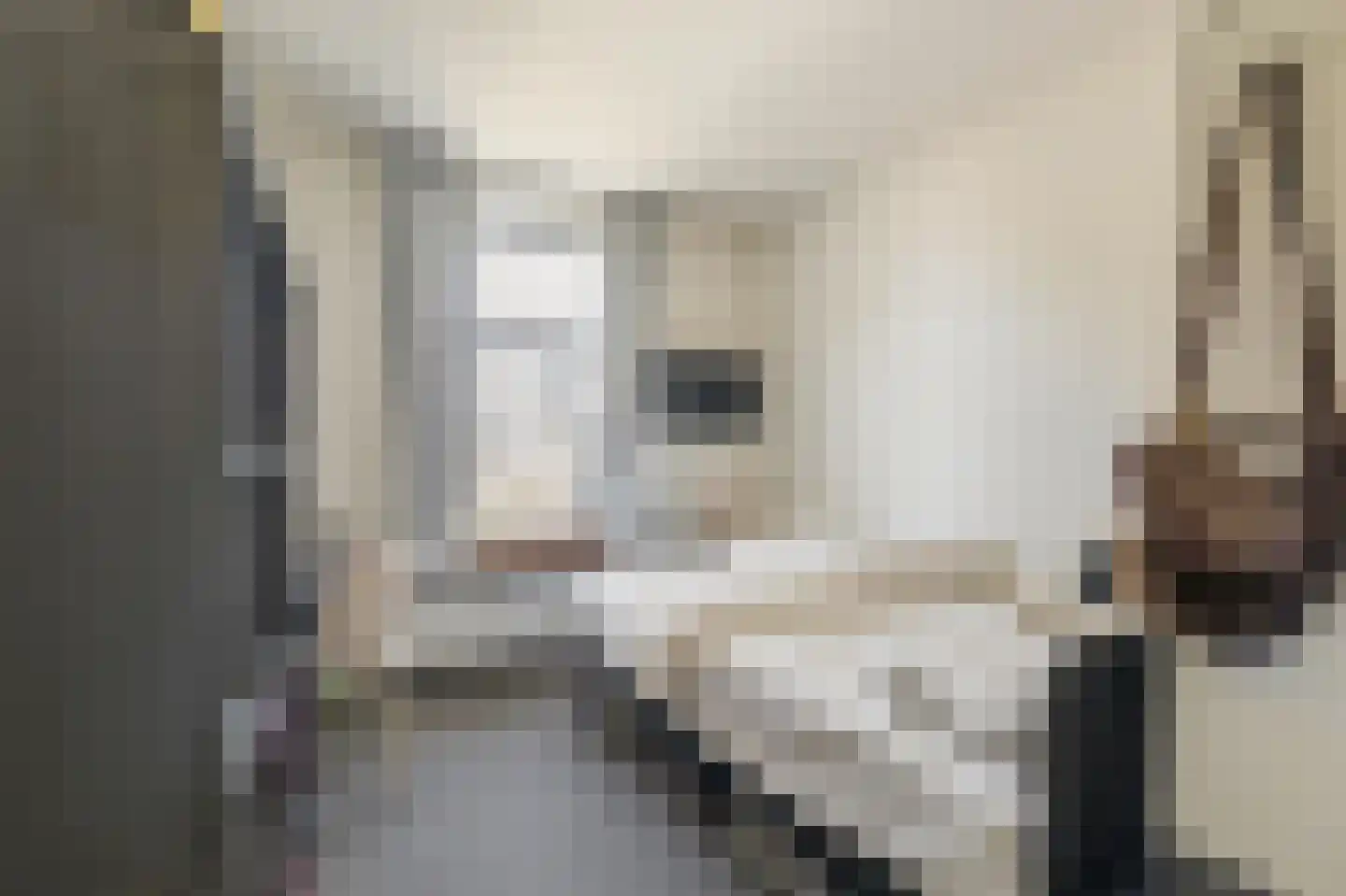 Delpratsingel 5 Breda thumbnail 40