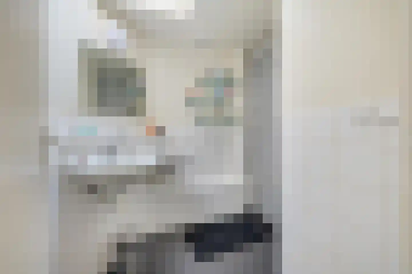 Delpratsingel 5 Breda thumbnail 44