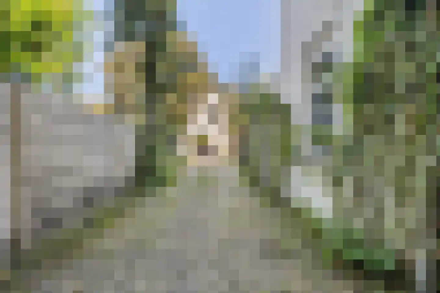 Delpratsingel 5 Breda thumbnail 46