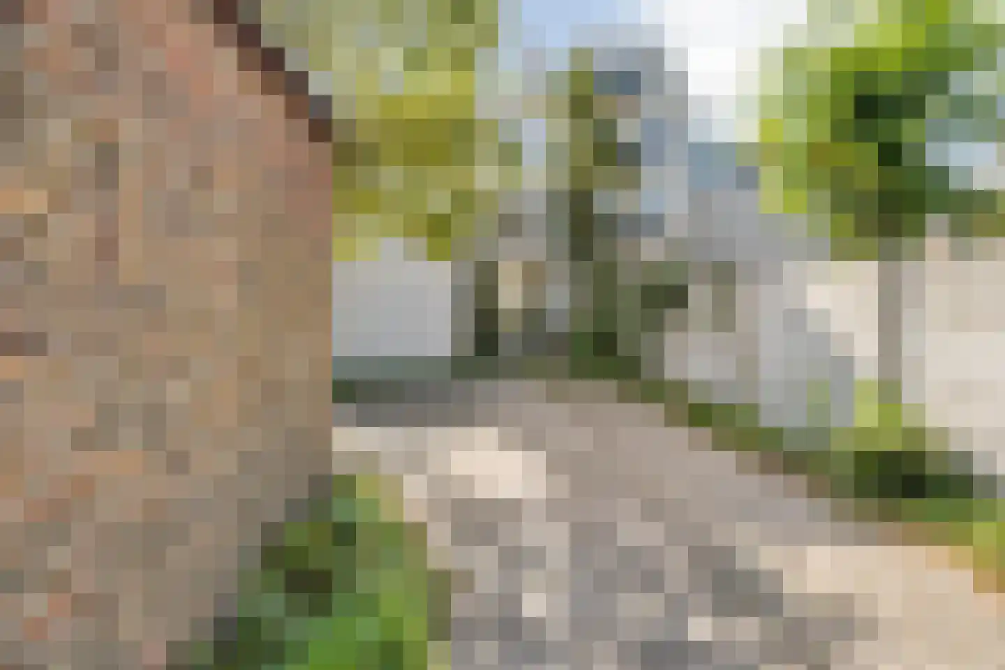 Delpratsingel 5 Breda thumbnail 48