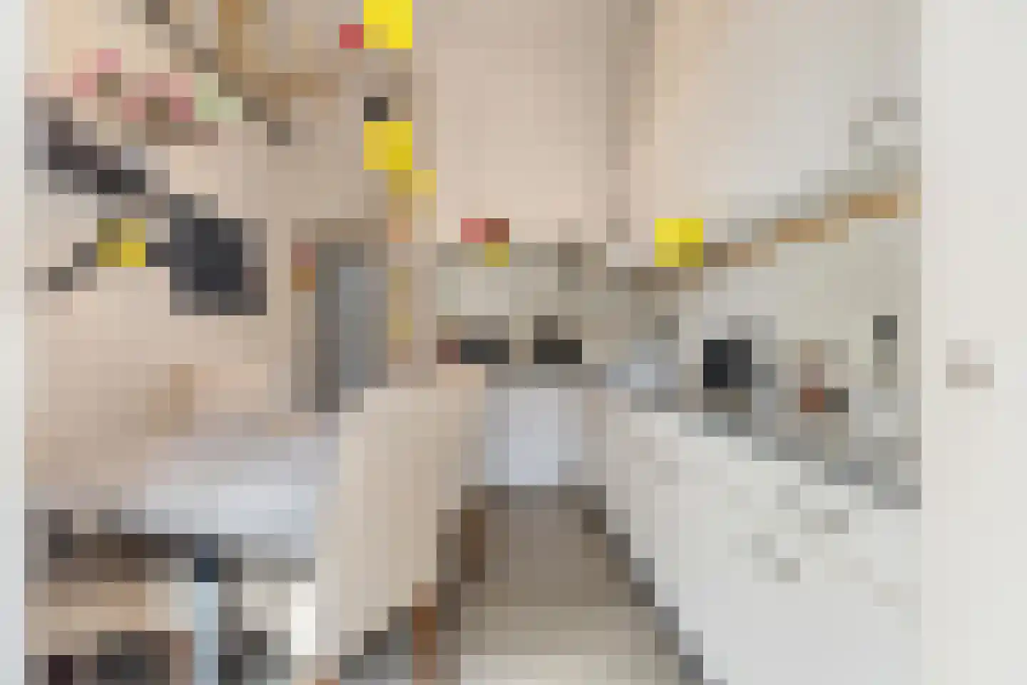 Delpratsingel 5 Breda thumbnail 6