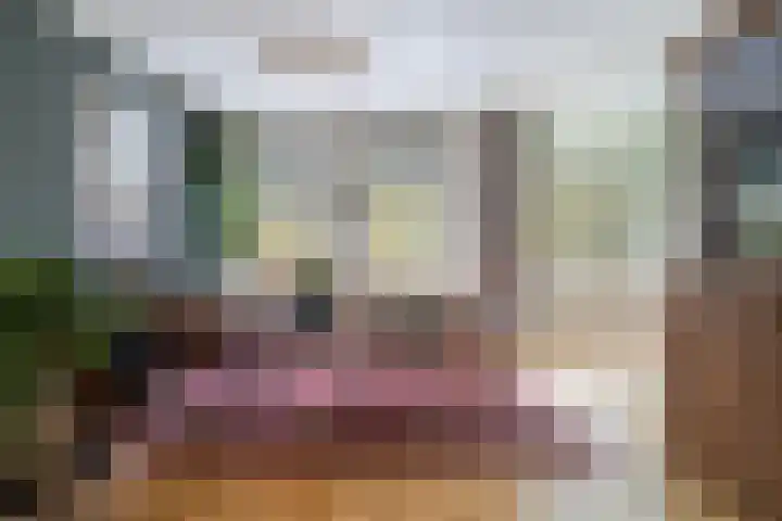 Delpratsingel 7 A Breda thumbnail 18